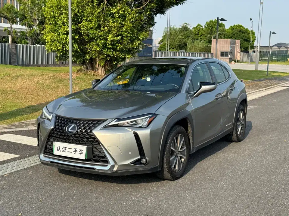 Lexus UX Electric 300e Pure Yue Edition 2020