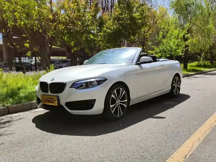 BMW 2 Series (Import) 225i Convertible Coupe Sport Design Package 2020