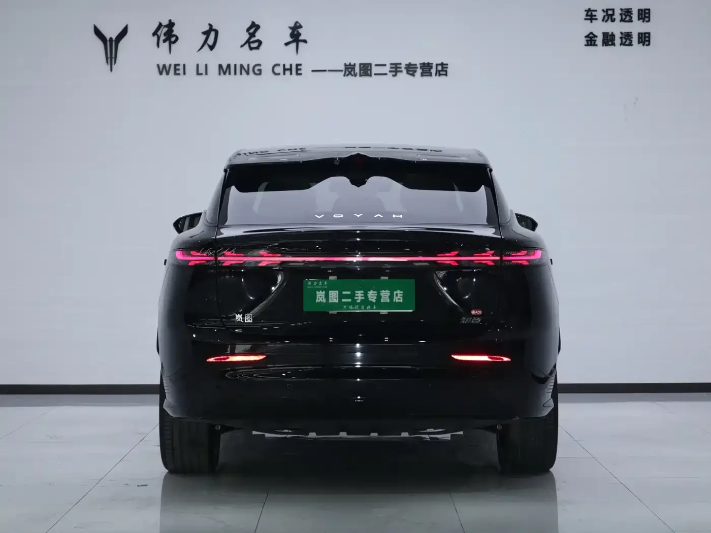 Voyah Auto Voyah Zhiyin Base 2025 — фото 24