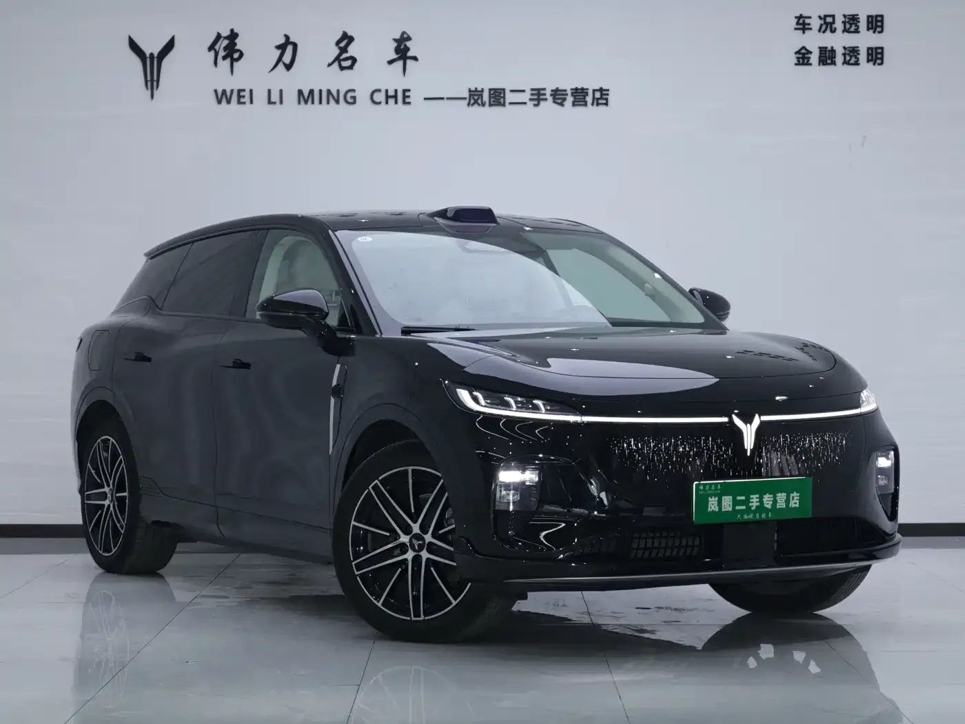 Voyah Auto Voyah Zhiyin Base 2025 — фото 3