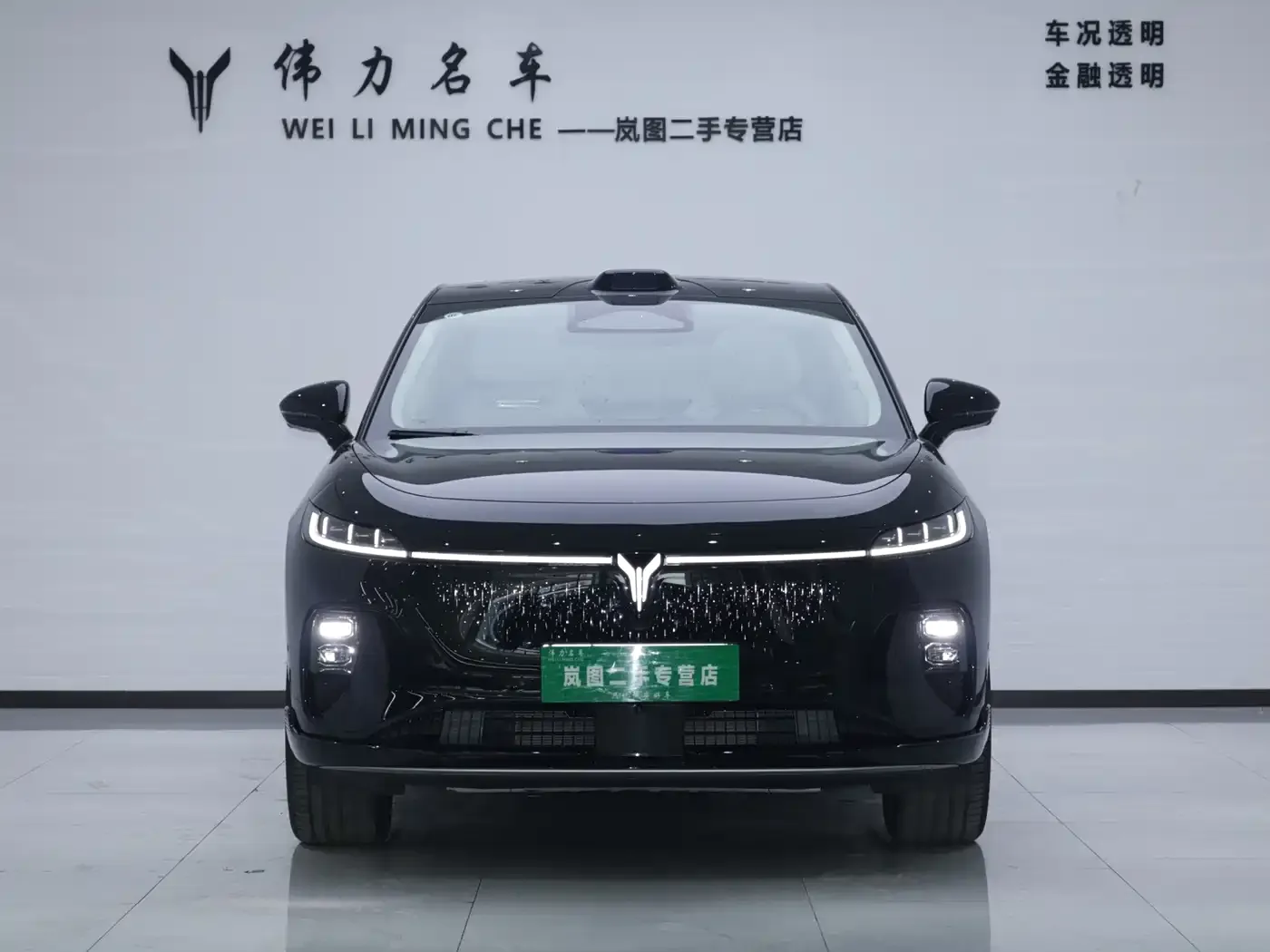 Voyah Auto Voyah Zhiyin Base 2025 — фото 2