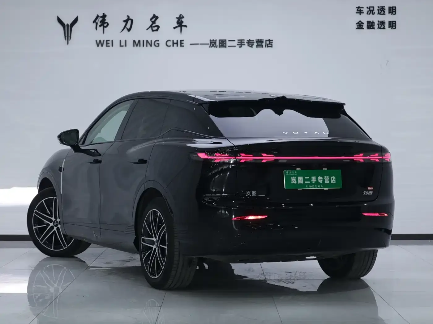 Voyah Auto Voyah Zhiyin Base 2025 — фото 25