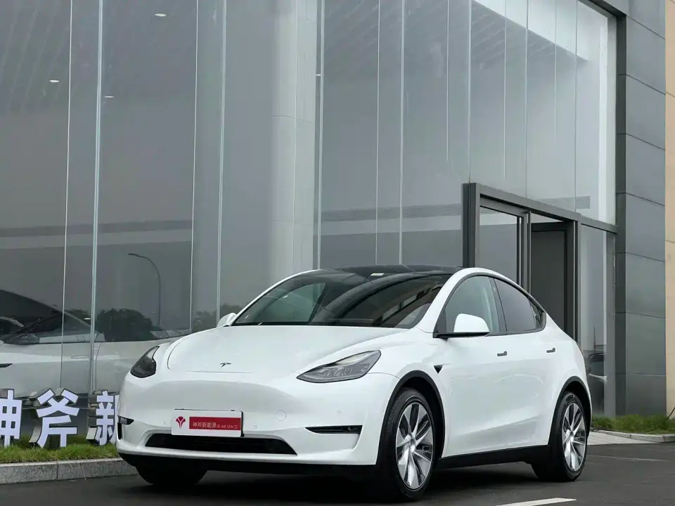Tesla Model Y Model Long Range AWD 2021