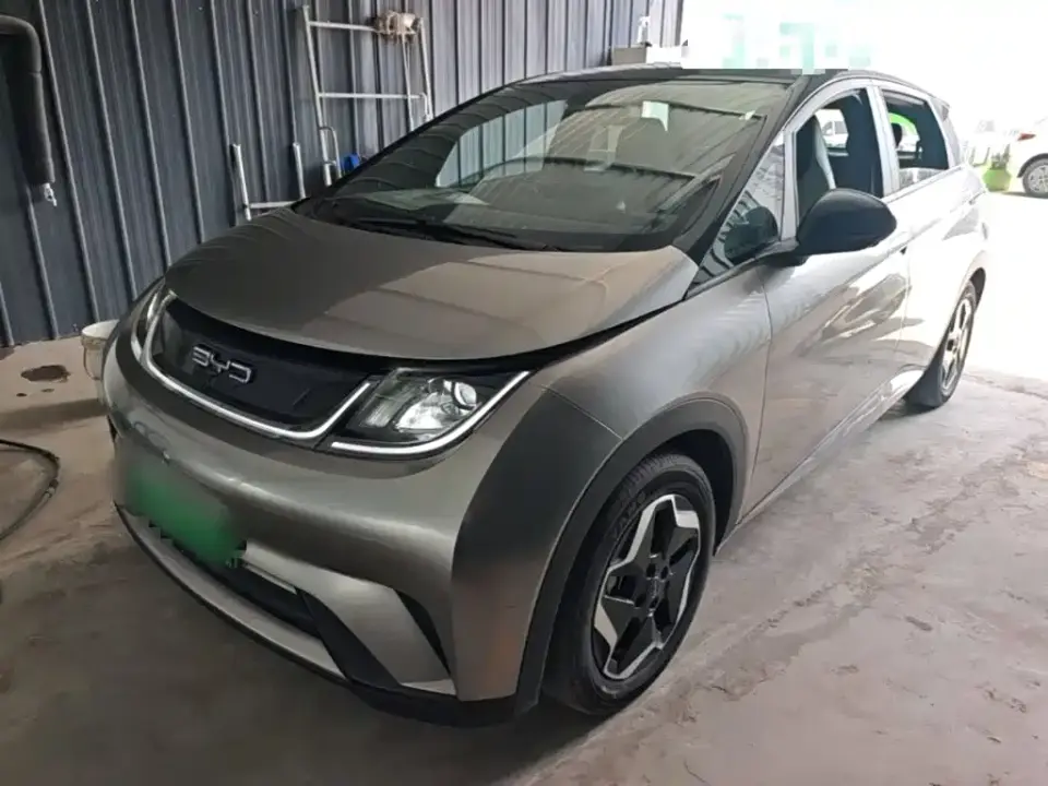 BYD Dolphin Model 405km Fashion Edition 2023