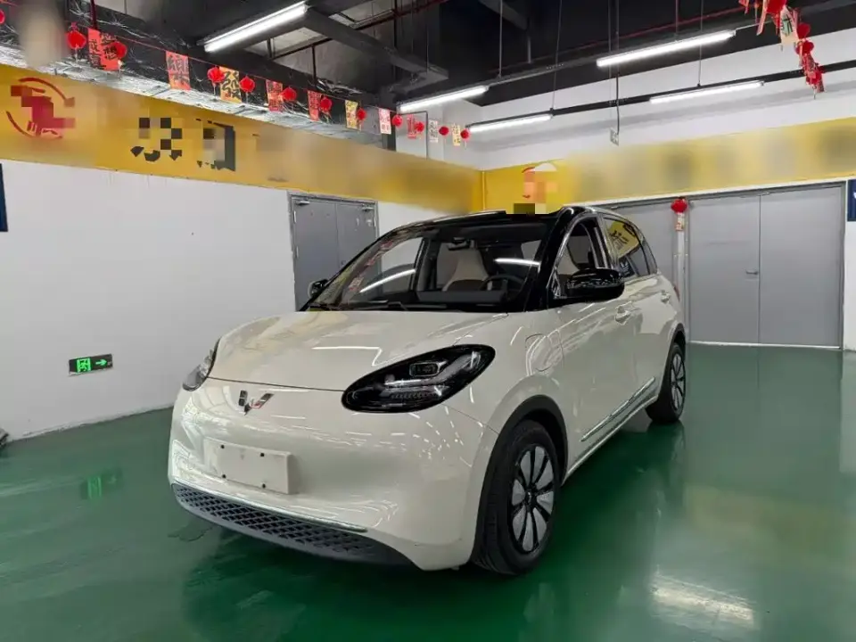 Wuling Motors Wuling Bingo 333km Joyful Version 2024