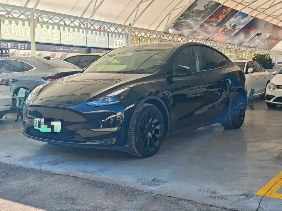 Tesla Model Y Model Long Range AWD 2021