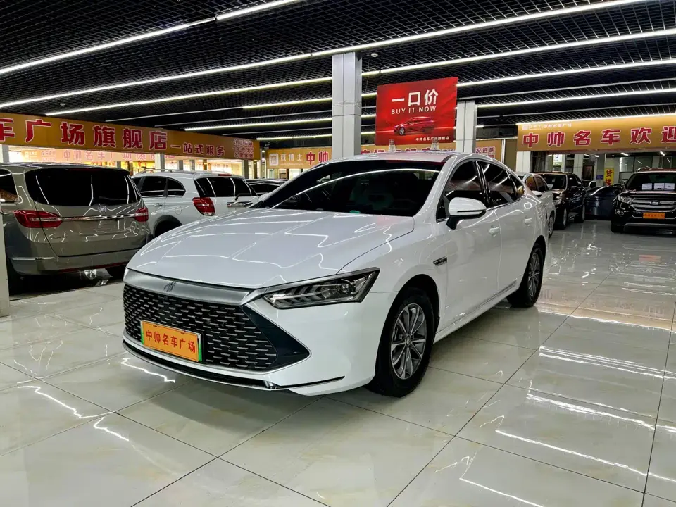 BYD Qin PLUS Glory Edition DM-i 55KM Leading 2024