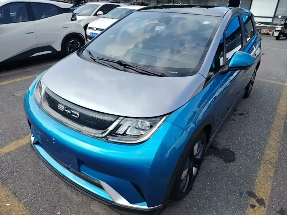 BYD Dolphin 401km Knight Edition 2022