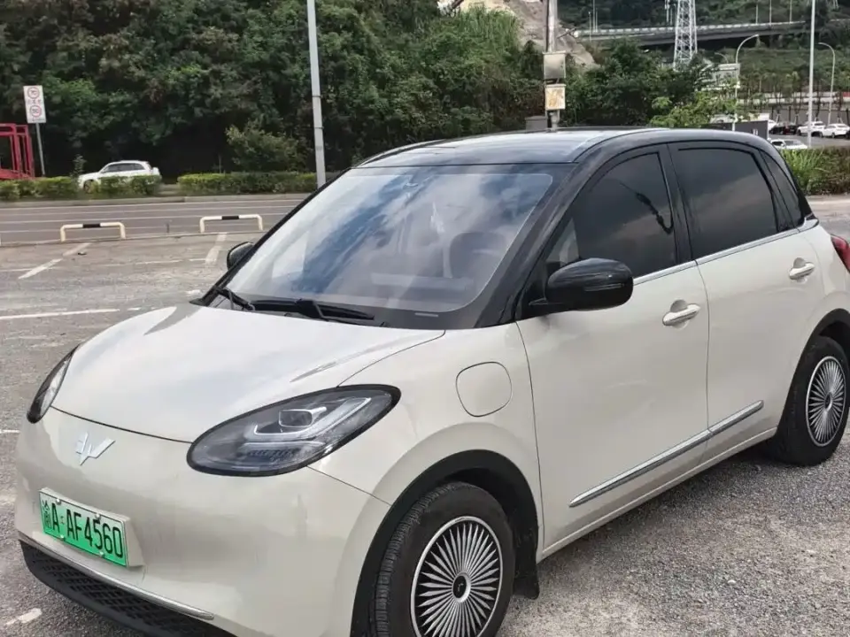 Wuling Motors Wuling Bingo 333km Comfort Edition 2024