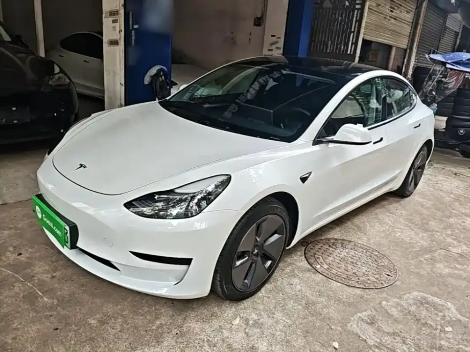 Tesla Model 3 Model Rear-Wheel Drive Version 2022