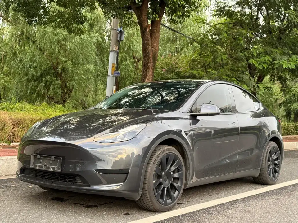 Tesla Model Y Rear-Wheel Drive Version 2024