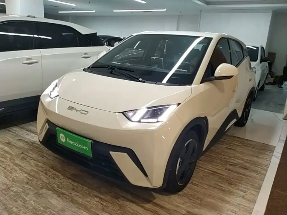 BYD Seagull Freedom Edition 2024