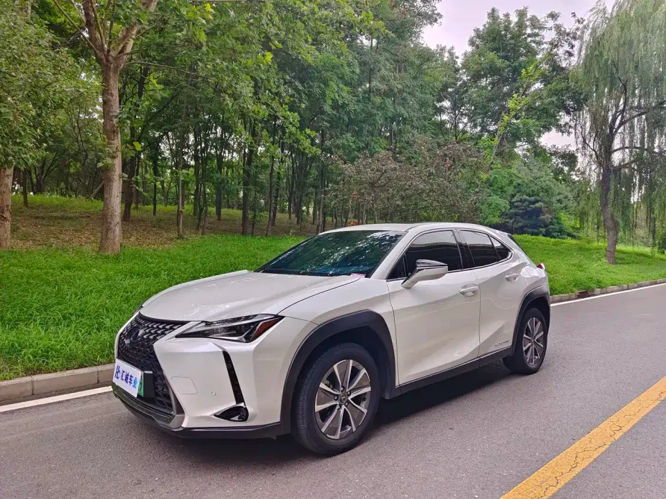 Lexus UX Electric 300e Pure Yue Edition 2023