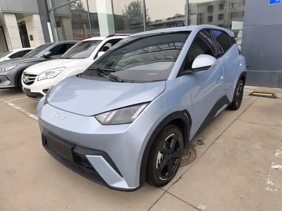 BYD Seagull Glory Edition 305km Freedom Edition 2024