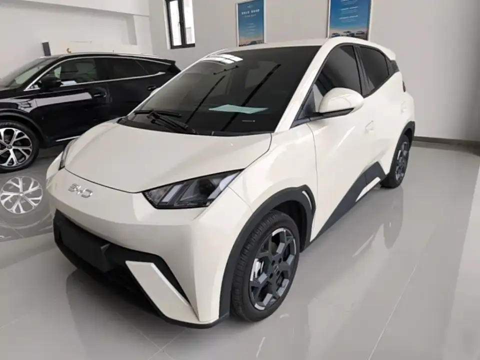 BYD Seagull Glory Edition 405km Soaring Edition 2024