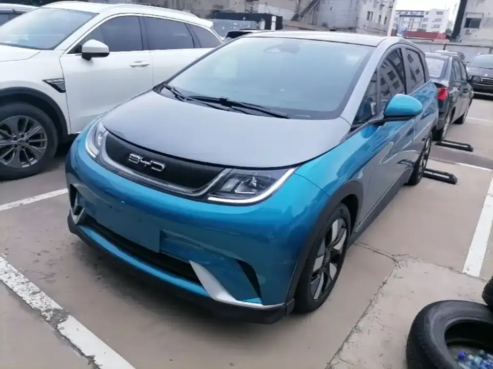 BYD Dolphin 401km Knight Edition 2022