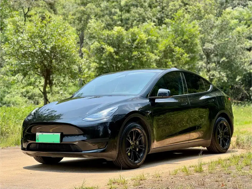 Tesla Model Y Rear-Wheel Drive Version 2024