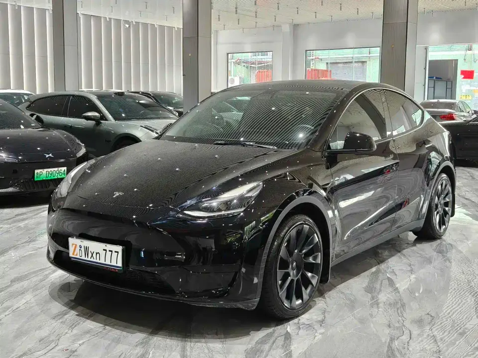 Tesla Model Y Rear-Wheel Drive Version 2022