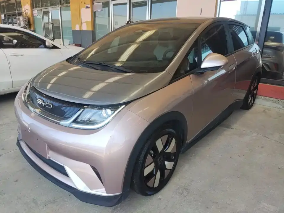 BYD Dolphin 401km Knight Edition 2022