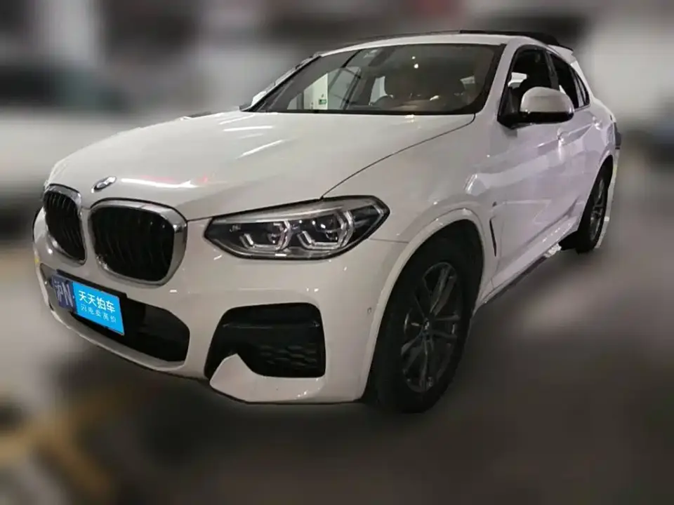 BMW X4 xDrive25i M Sport Package 2019
