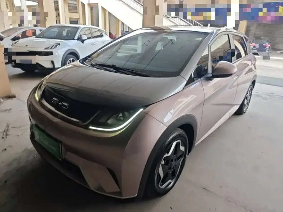BYD Dolphin Model 405km Fashion Edition 2022