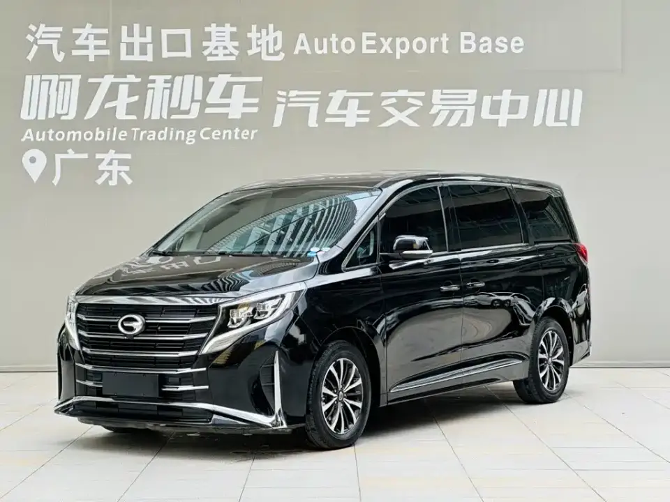 GAC Trumpchi M8 Leading Series 390T Premium Edition 2024