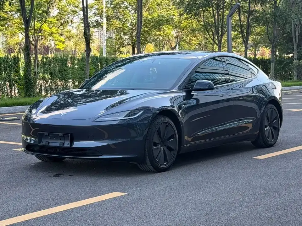 Tesla Model 3 Model Rear-Wheel Drive Edition 2025