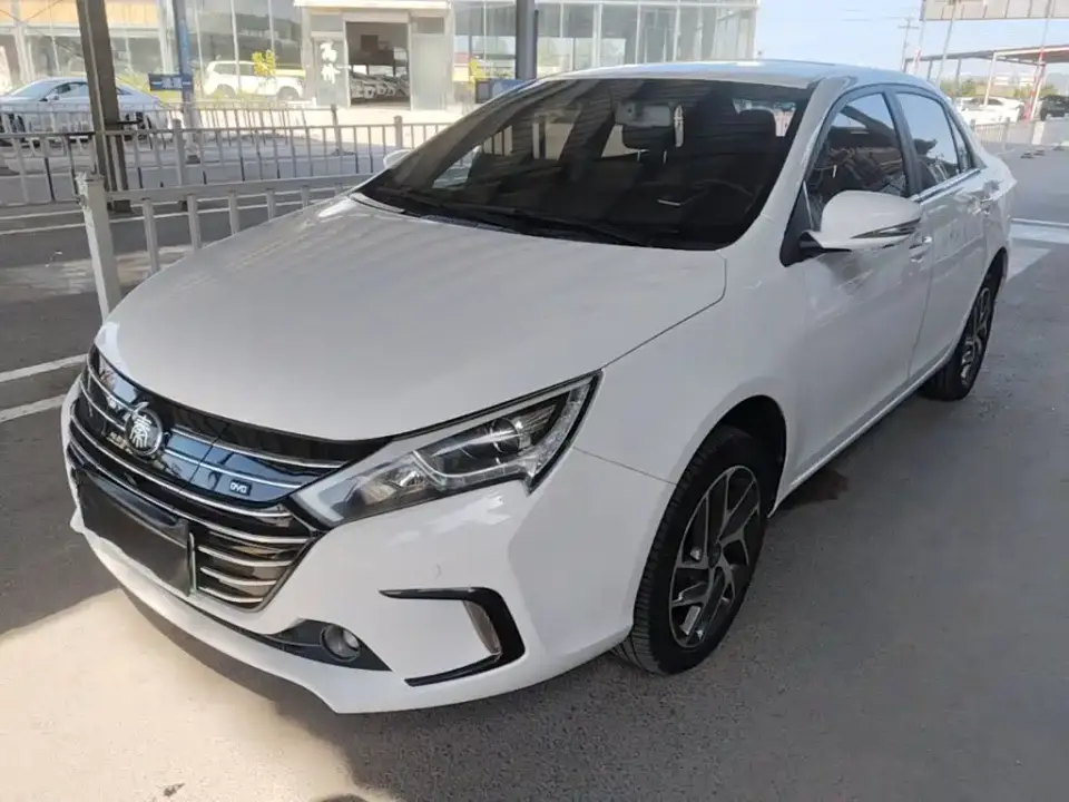 BYD Qin New Energy Qin EV450 Smart Connected Premium Edition 2019