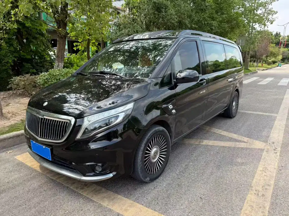 Mercedes-Benz Vito 2.0T Business Edition China VI 2020
