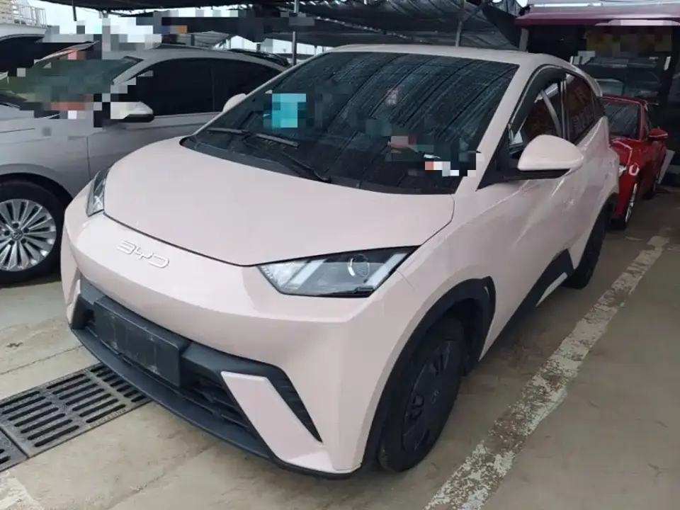 BYD Seagull Glory Edition 305km Vitality Edition 2024