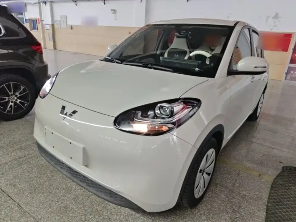 Wuling Motors Wuling Bingo Model 203km Lite Enjoyment Edition 2023