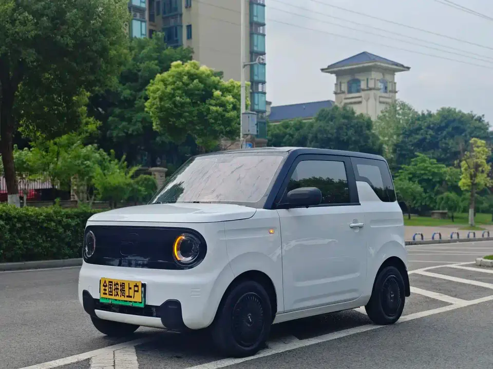 Geely Galaxy Panda Panda Mini 200km Endurance Bear 2023