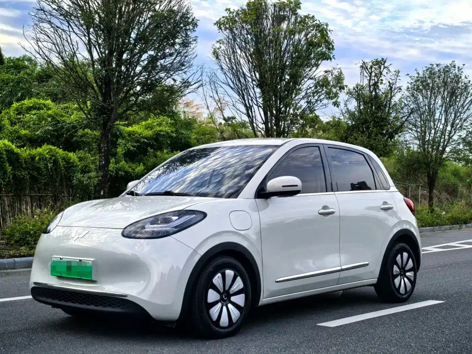 Wuling Motors Wuling Bingo 333km Joyful Version 2023