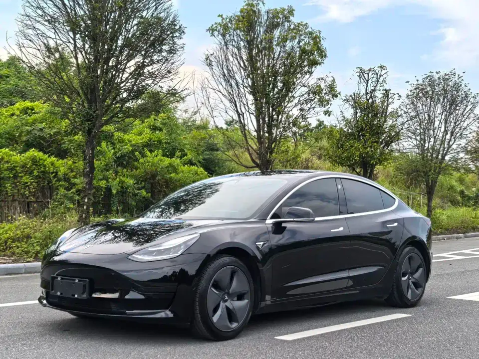 Tesla Model 3 Standard Range Rear-Wheel Drive Upgrade 2020