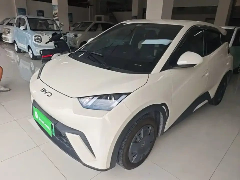BYD Seagull 305km Vitality 2025