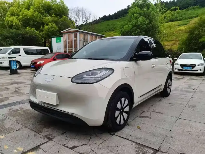 Wuling Motors Wuling Bingo 333km Joyful Version 2024