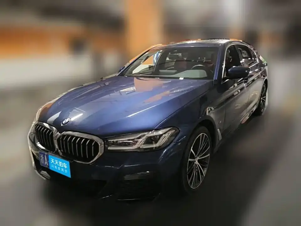 BMW 5 Series 530Li Leading M Sport Package 2021