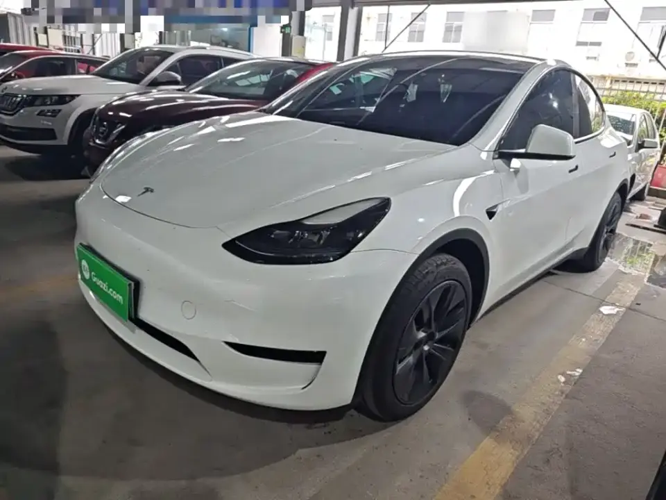 Tesla Model Y Rear-Wheel Drive Version 2024