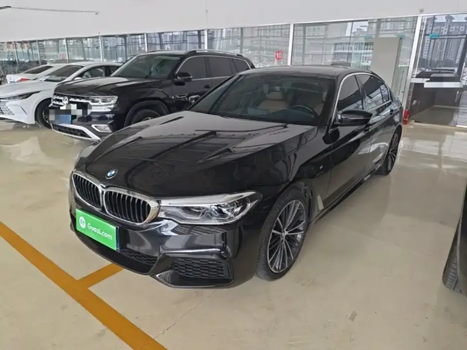 BMW 5 Series 530Li Leading M Sport Package 2020