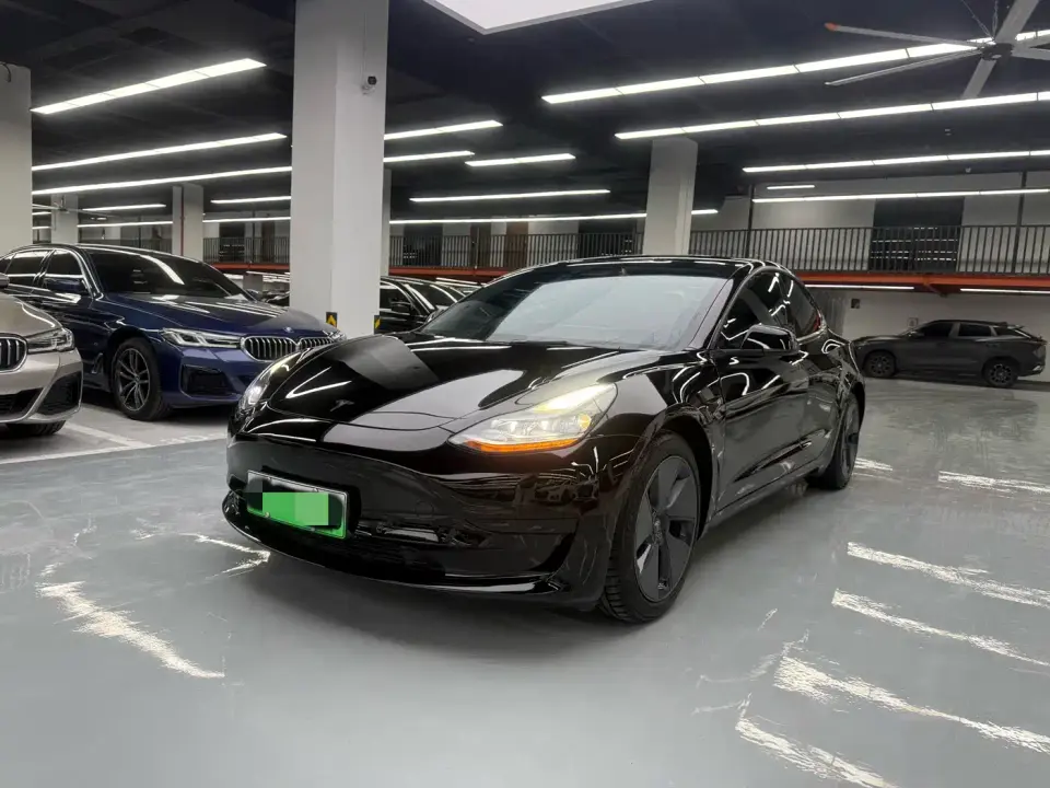 Tesla Model 3 Model Rear-Wheel Drive Version 2021