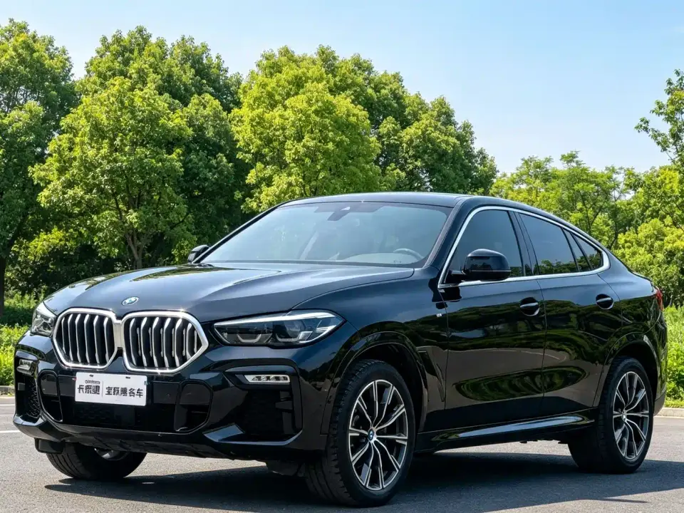 BMW X6 xDrive30i M Sport Package 2021