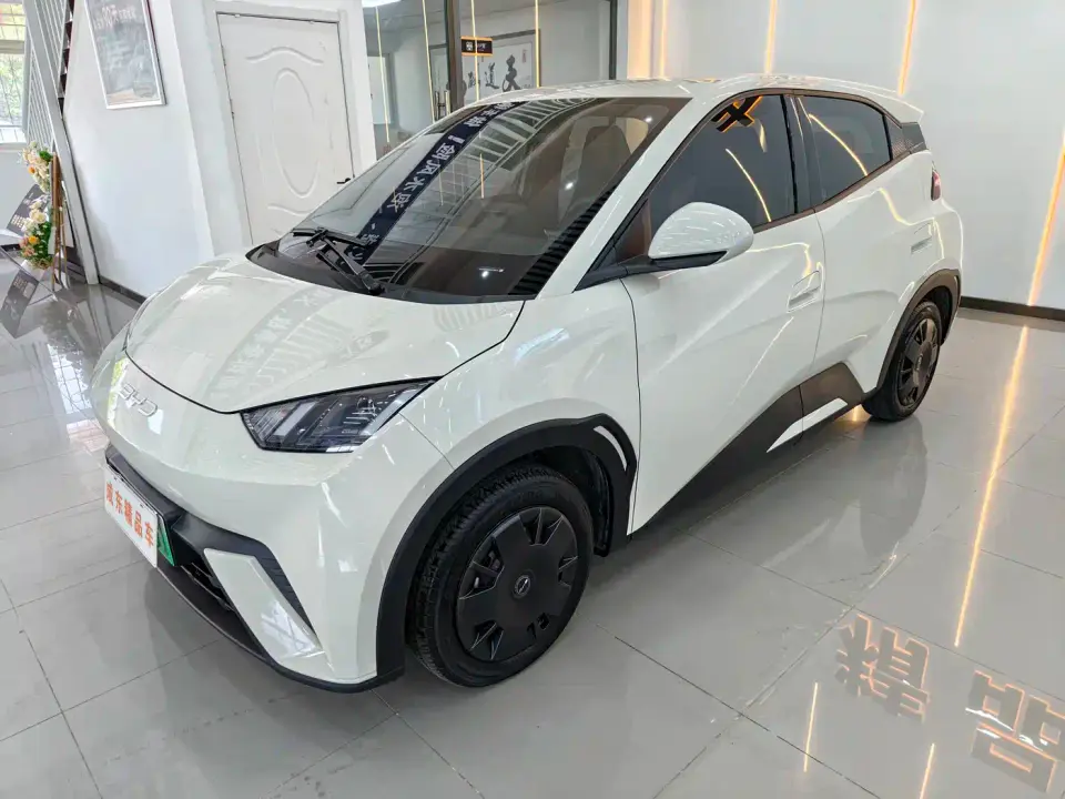 BYD Seagull Glory Edition 305km Vitality Edition 2024