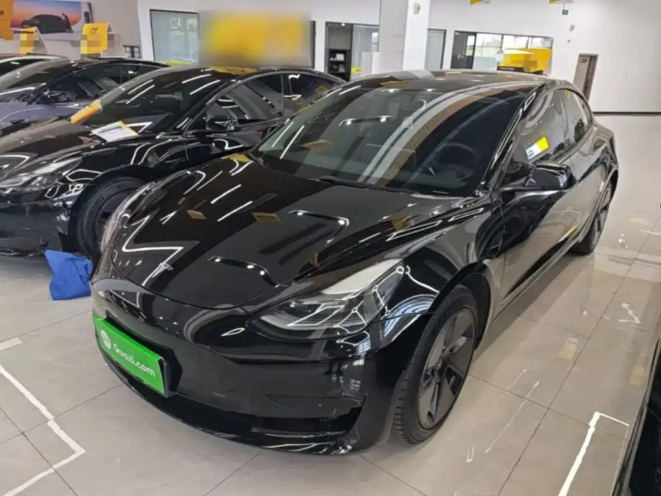 Tesla Model 3 Model Rear-Wheel Drive Version 2022