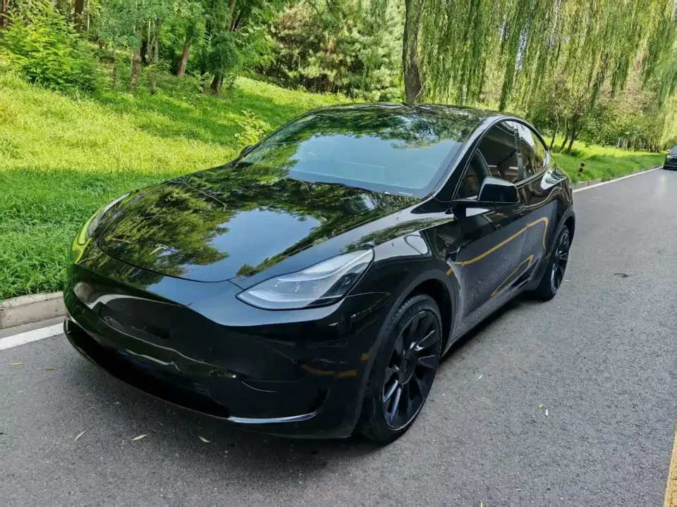 Tesla Model Y Rear-Wheel Drive Version 2022
