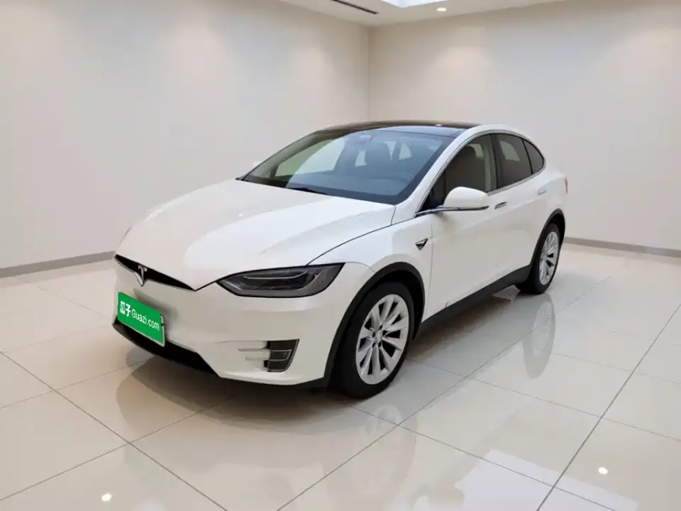 Tesla Model X Model X 100D Long Range 2019