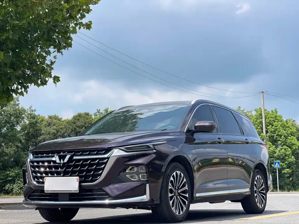 Wuling Motors Wuling Victory 2.0L DHT Luxury Edition 2023
