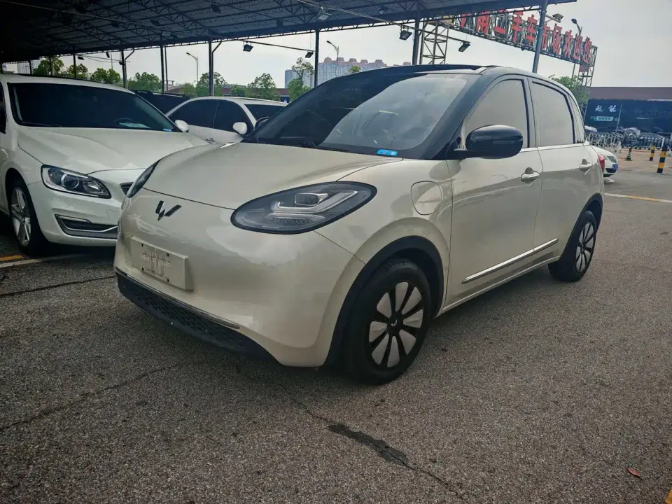 Wuling Motors Wuling Bingo 410km Lingxi Premium Edition 2024