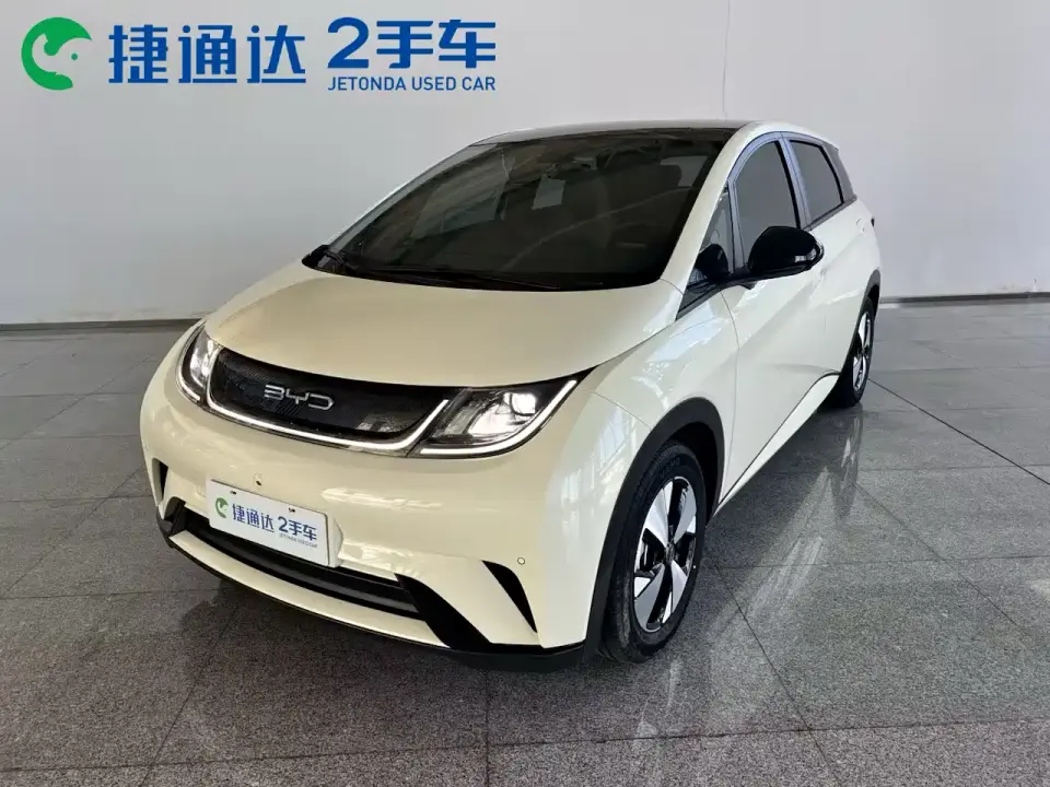BYD Dolphin 420km Fashion Edition 2024
