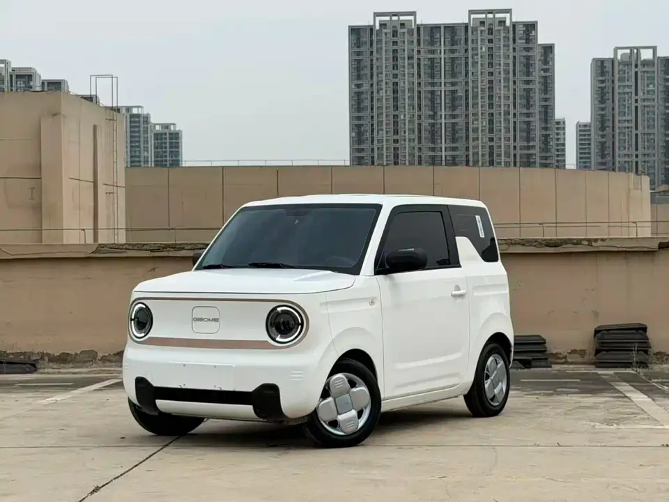 Geely Galaxy Panda Panda mini 200km Endurance Bear 2025