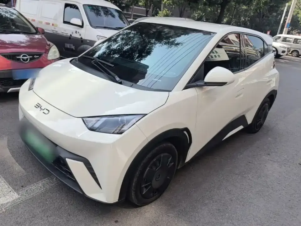 BYD Seagull 305km Vitality 2025